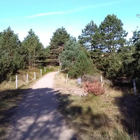 Kuestkieker Sankt Peter-Ording